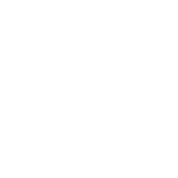 Logo Wise